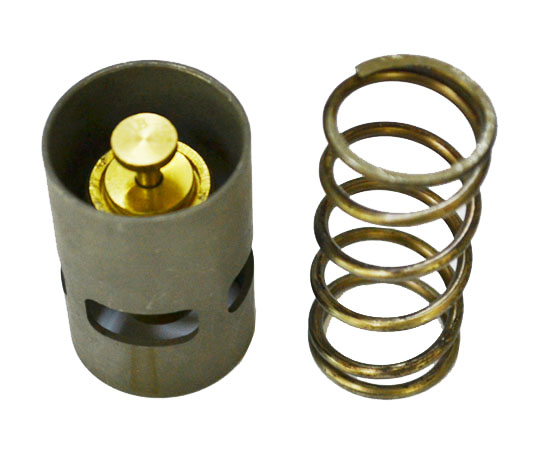 2901161600 thermostat valve kit2